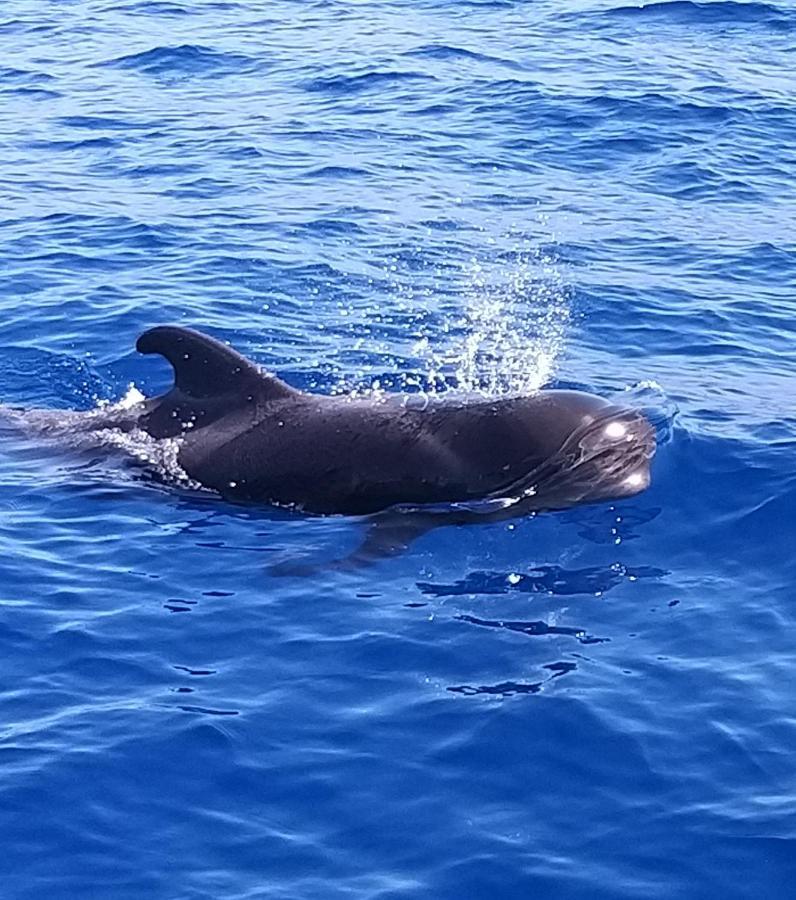 Tenerife Playa La Arena Puerto de Santiago  Ngoại thất bức ảnh