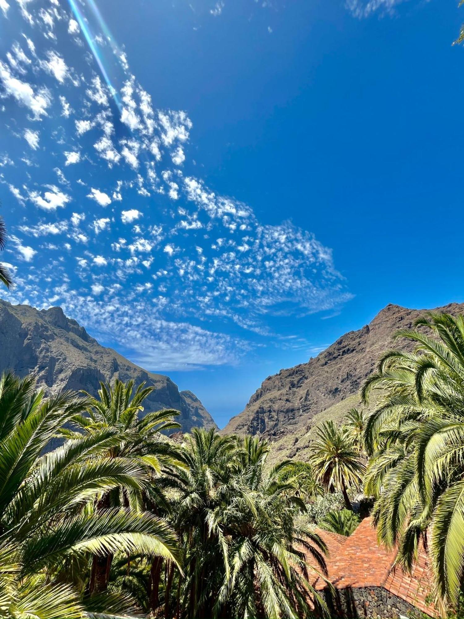 Tenerife Playa La Arena Puerto de Santiago  Ngoại thất bức ảnh